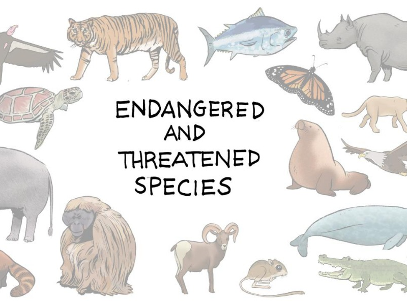 Threatened? Endangered? Extinct? [1 min read]